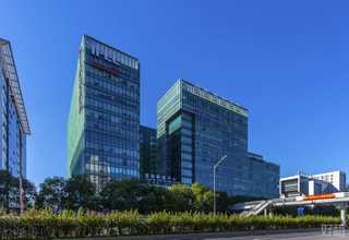 启东直销黄沙哪家好